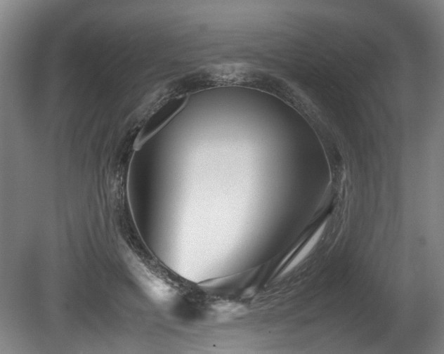 X0000080660601200612221053
