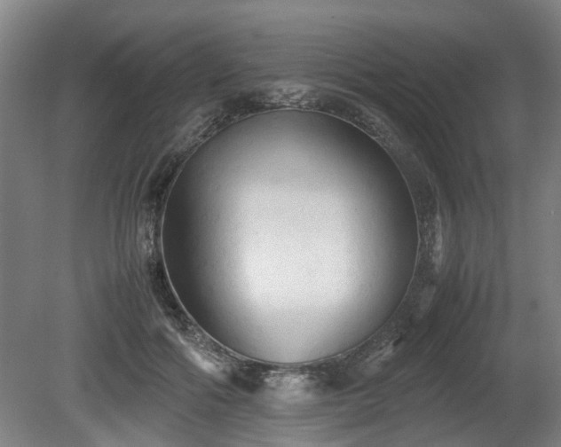 X0000080660602200612221053