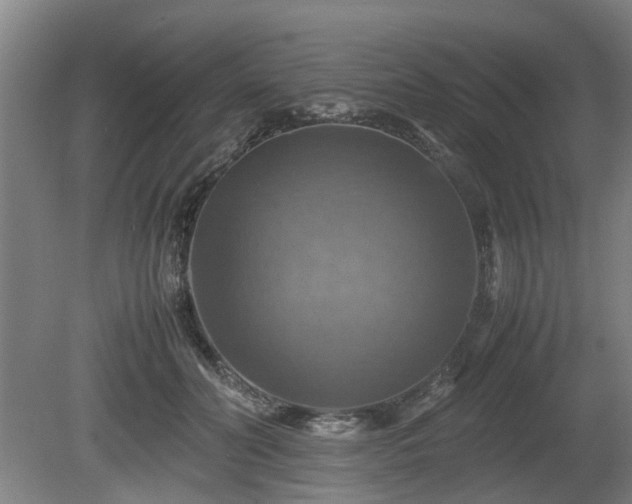 X0000080660606200612221053