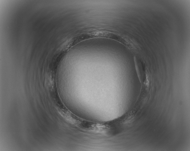 X0000080660607200612221053