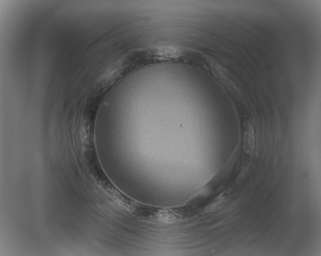 X0000080660608200612221053