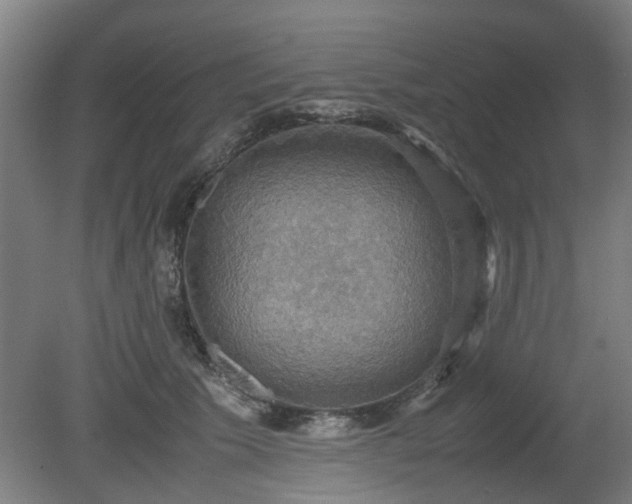 X0000080660609200612221053