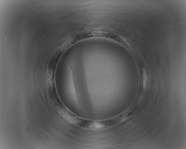 X0000080660610200612221053