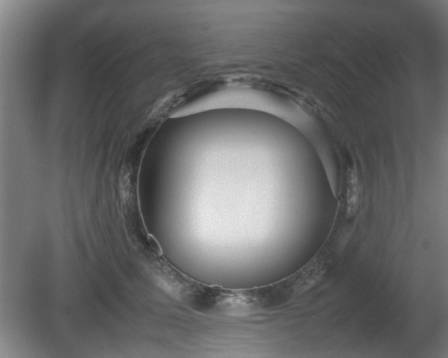 X0000080660611200612221053
