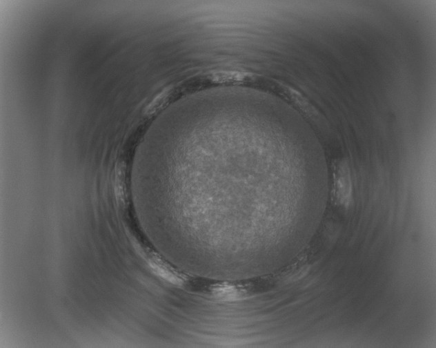 X0000080660616200612221052