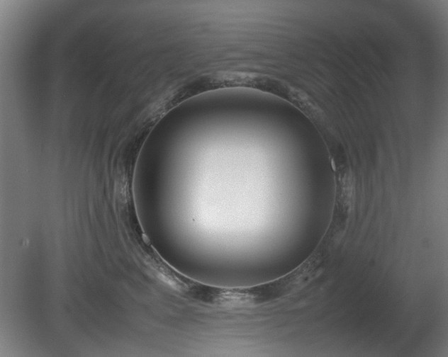 X0000080660617200612221052