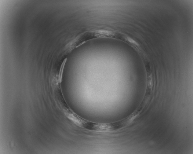 X0000080660621200612221052