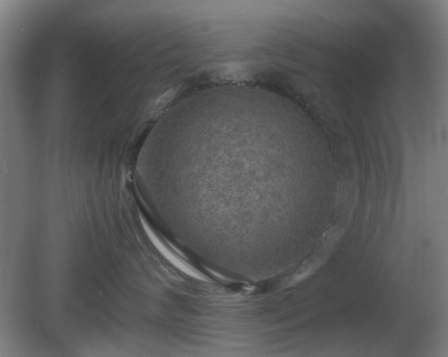 X0000080660624200612221052