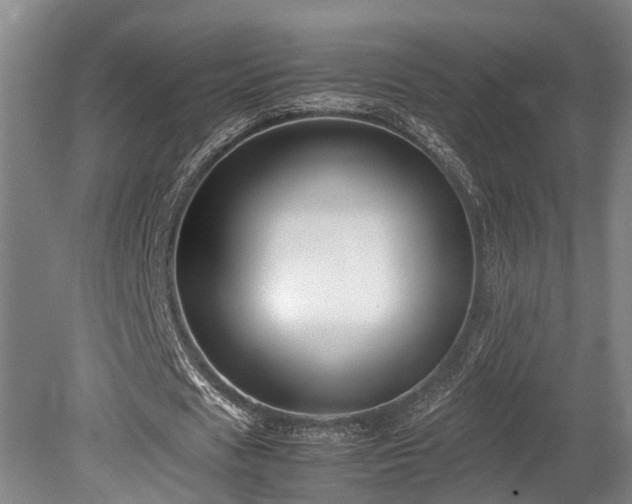 X0000080660625200612221052