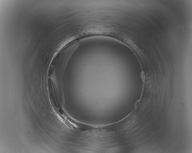 X0000080660626200612221052