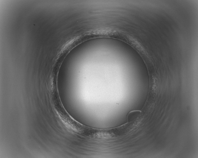 X0000080660636200612221052
