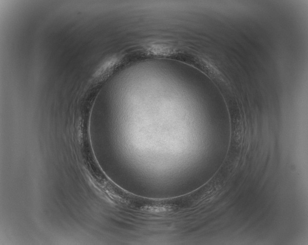 X0000080660639200612221052