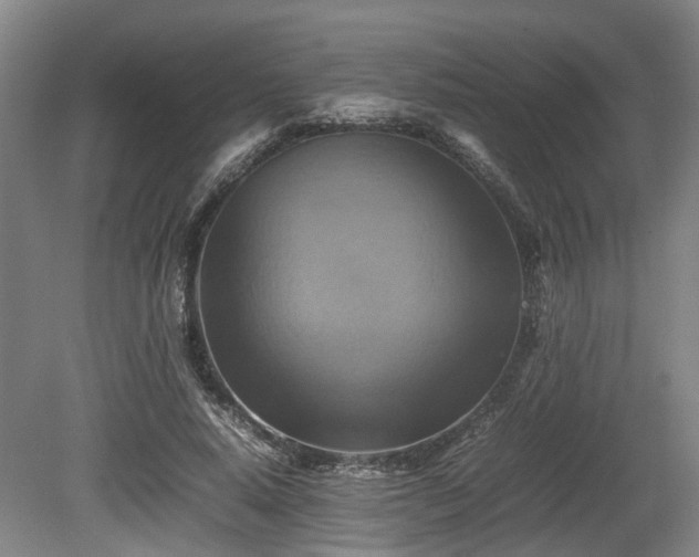 X0000080660640200612221052