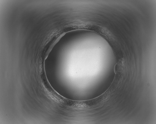 X0000080660642200612221052