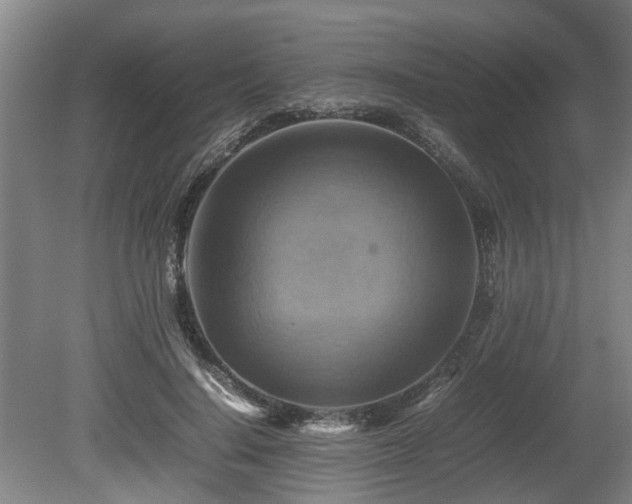 X0000080660644200612221052