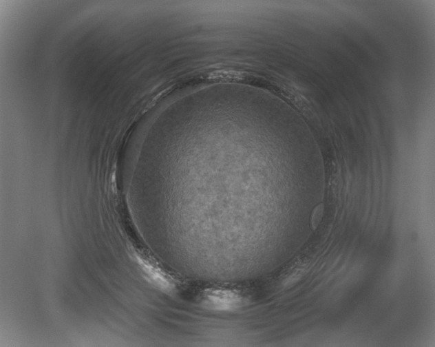 X0000080660649200612221052