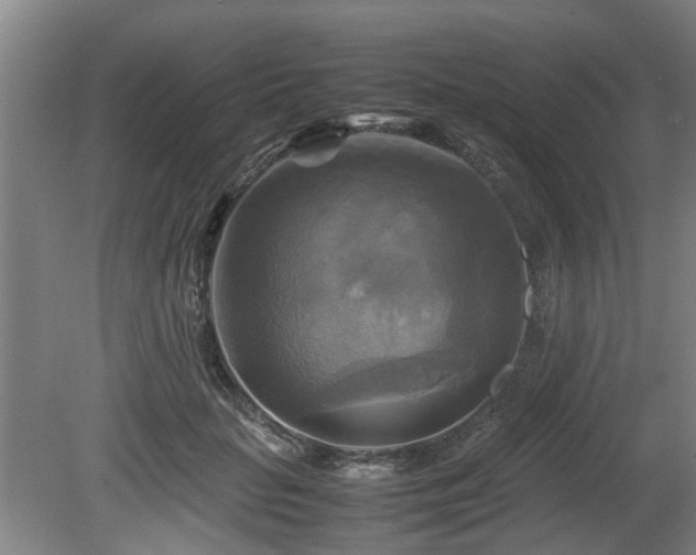 X0000080660653200612221052