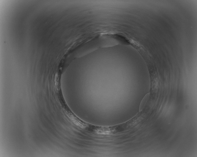 X0000080660661200612221052