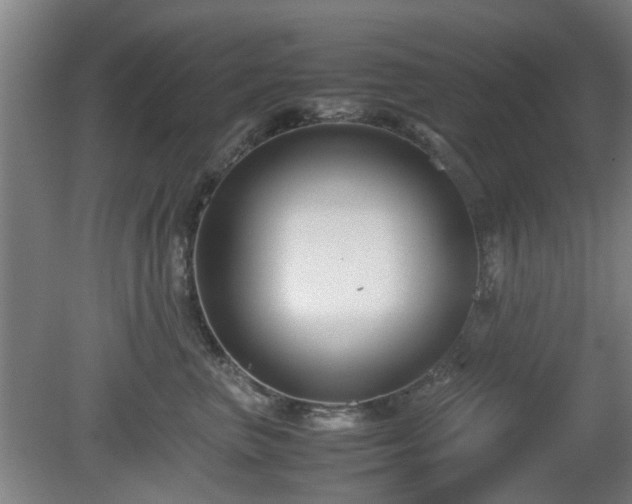 X0000080660667200612221052
