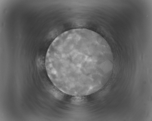 X0000080660672200612221052