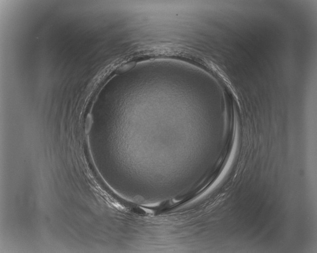 X0000080660673200612221052