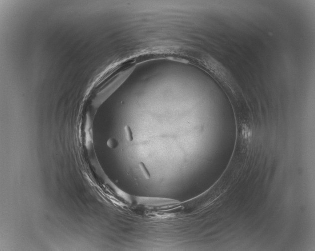 X0000080660676200612221051