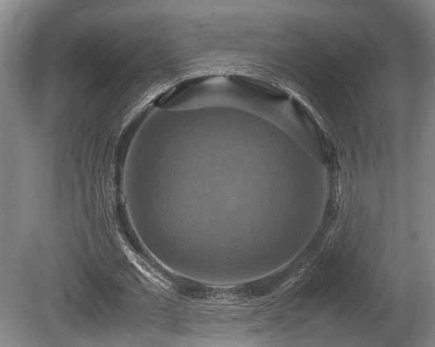 X0000080660677200612221051