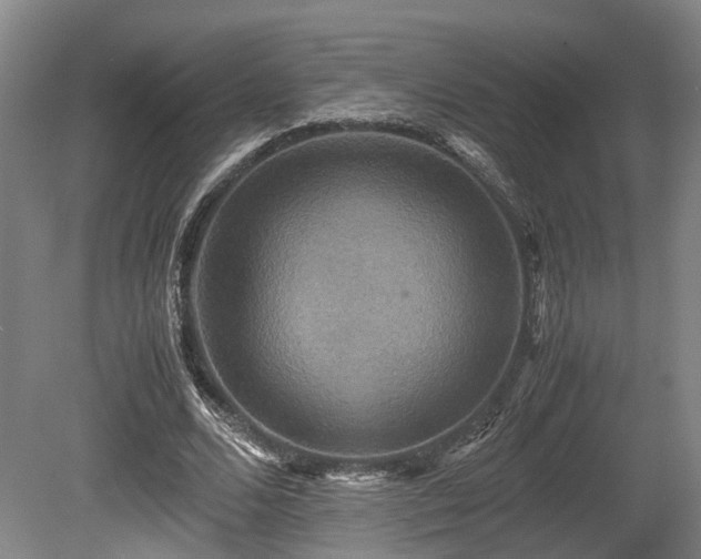 X0000080660680200612221051