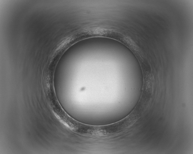 X0000080660683200612221051