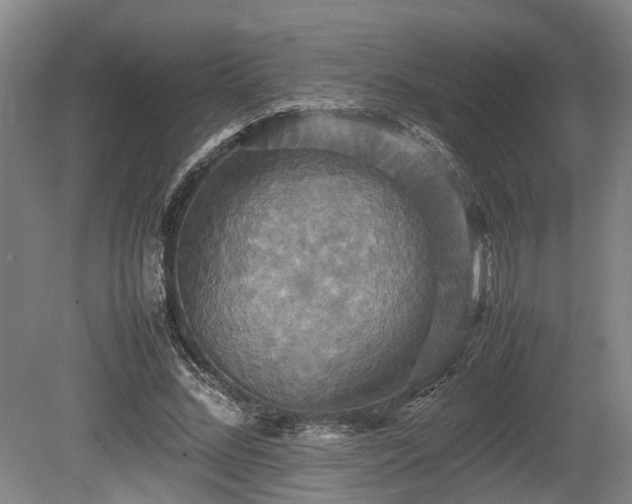X0000080660684200612221051