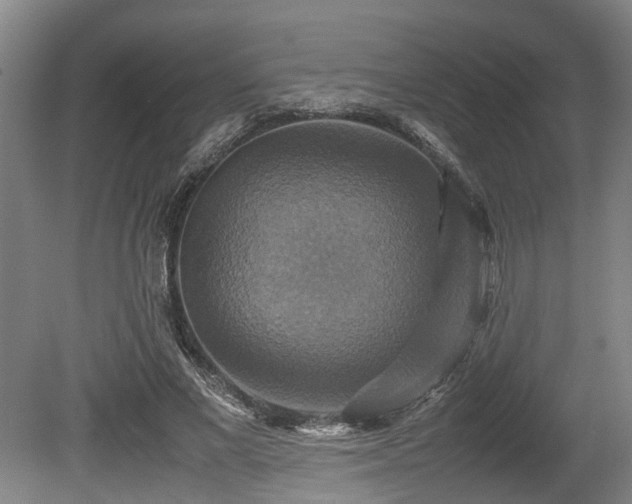 X0000080660685200612221051