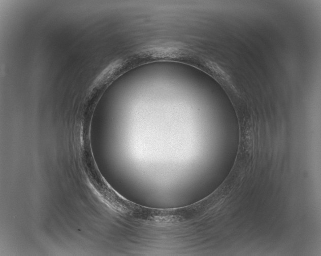 X0000080660686200612221051