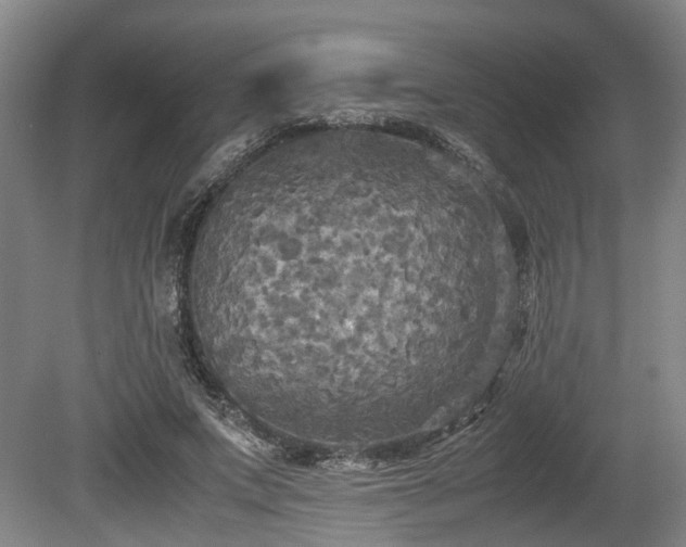 X0000080660687200612221051