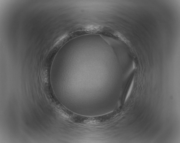 X0000080660689200612221051
