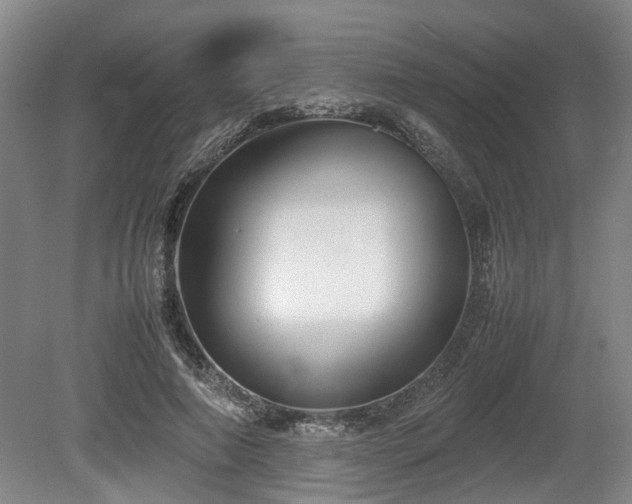 X0000080660690200612221051