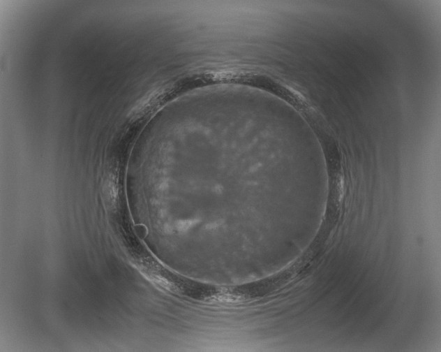 X0000080660691200612221051