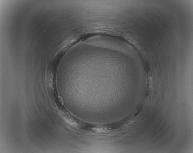 X0000080660693200612221051