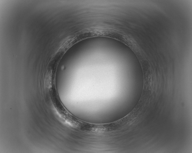 X0000080660694200612221051