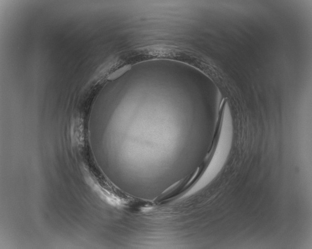 X0000080660696200612221051