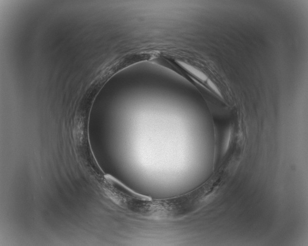 X0000080660697200612221051