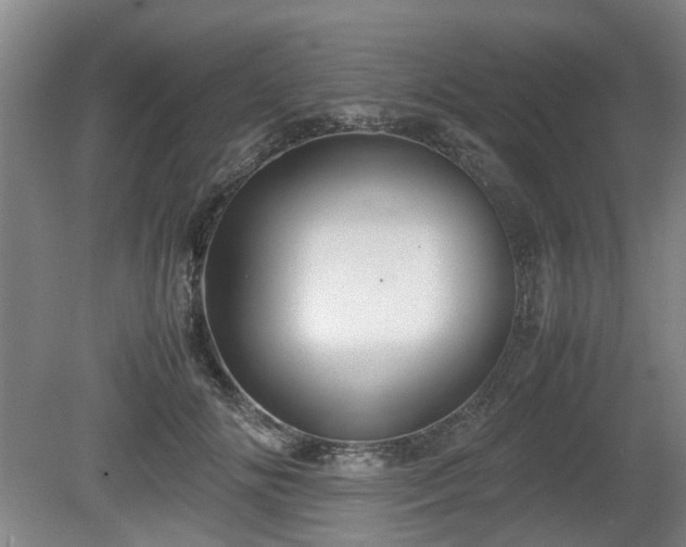 X0000080660702200612221051
