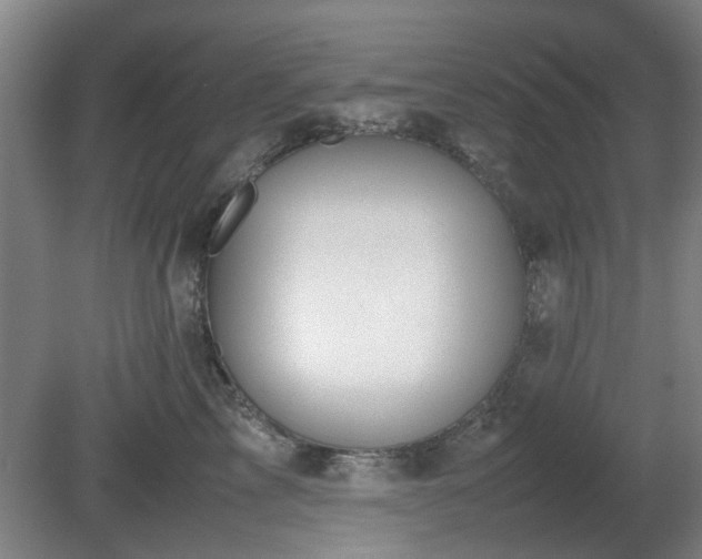 X0000080660713200612221051