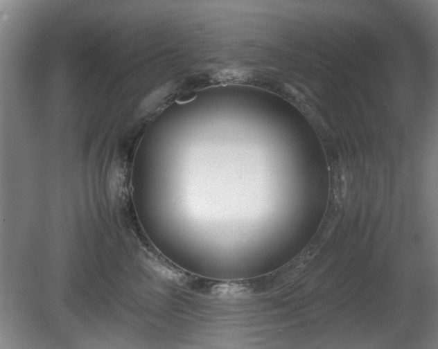 X0000080660714200612221051