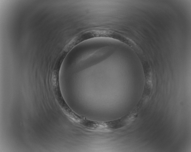 X0000080660715200612221051