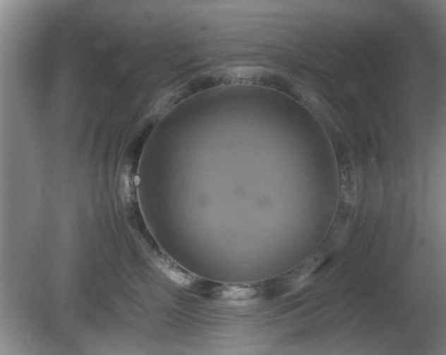 X0000080660718200612221051
