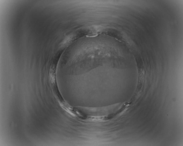 X0000080660719200612221051