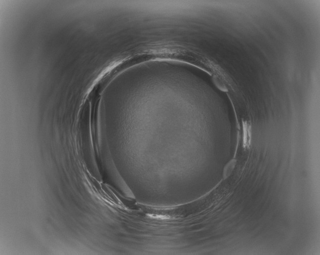 X0000080660723200612221050