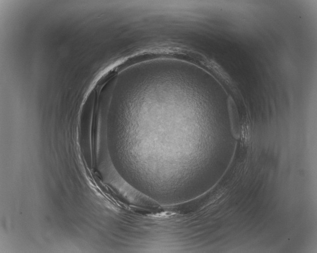 X0000080660724200612221050