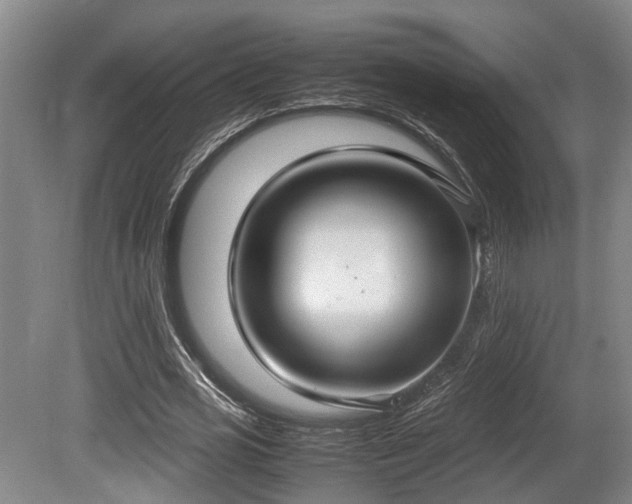 X0000080660725200612221050