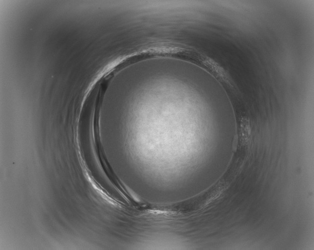 X0000080660726200612221050